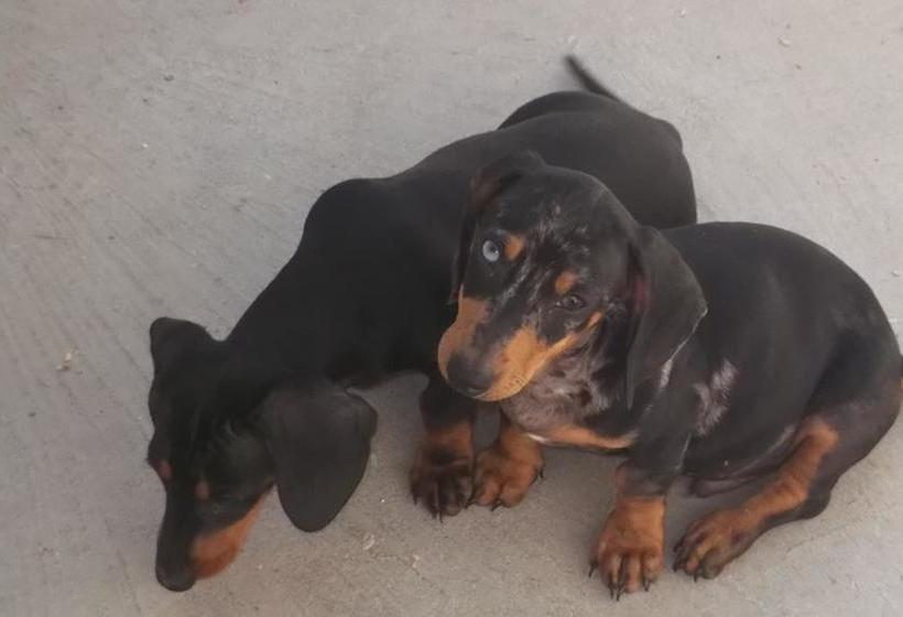 Bed and Breakfast Oltremare Circeo  | San Felice Circeo | Latina | Italia 1