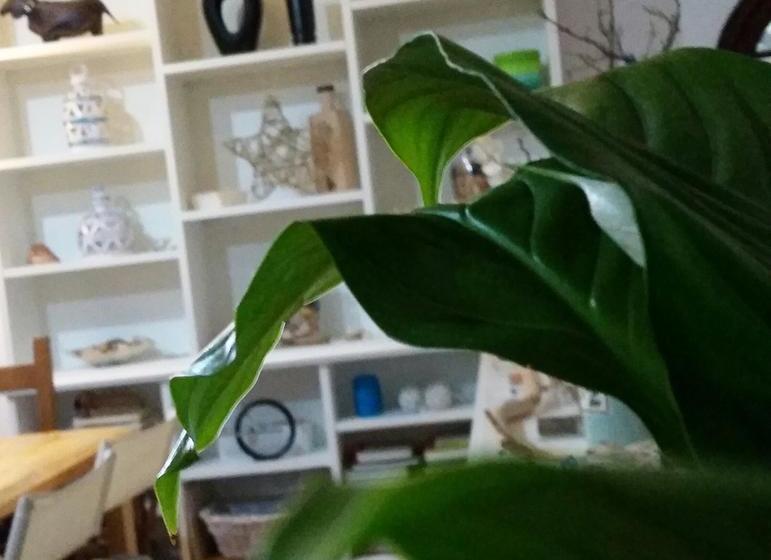 Bed and Breakfast Oltremare Circeo  | San Felice Circeo | Latina | Italia 16