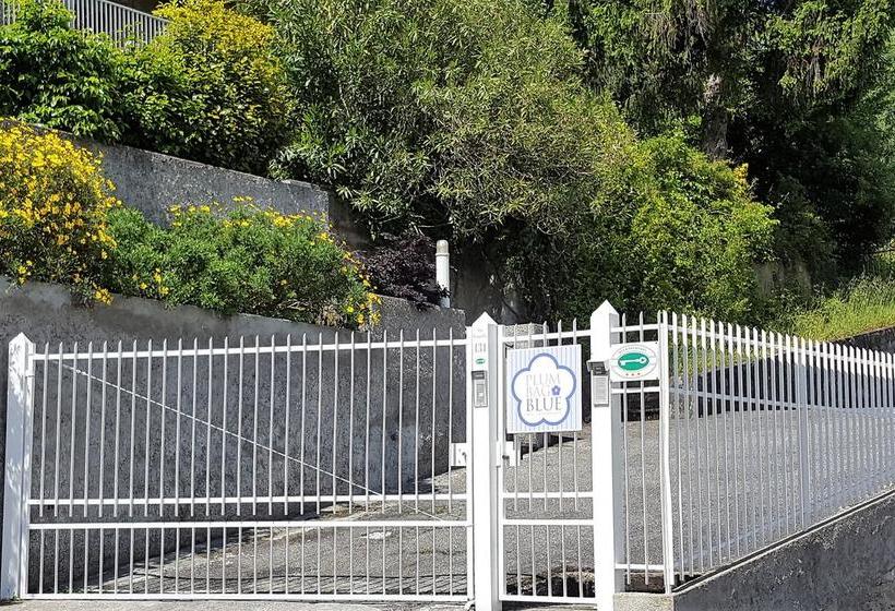 Bed and Breakfast Plumbago Blue  | Ameglia | La Spezia | Italia 11