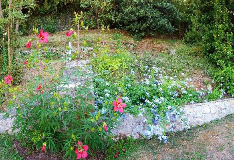 Bed and Breakfast Plumbago Blue  | Ameglia | La Spezia | Italia 20