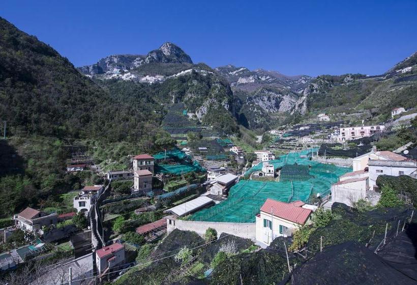 Bed and Breakfast La Valle Delle Ferriere  | Amalfi | Salerno | Italia 10