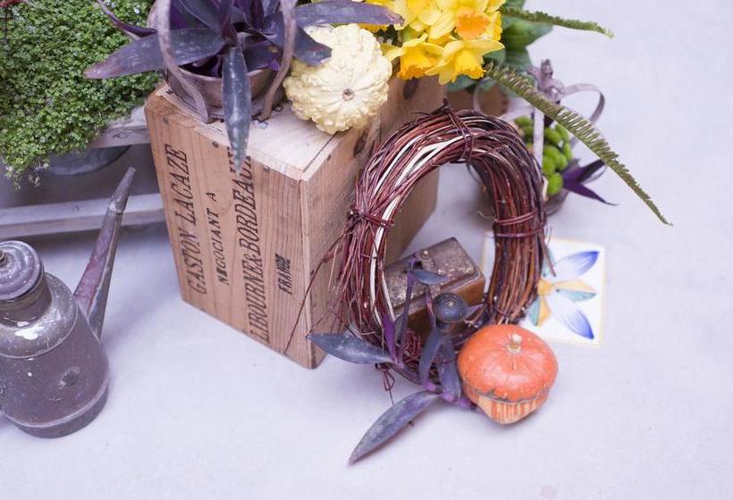 Bed and Breakfast La Valle Delle Ferriere  | Amalfi | Salerno | Italia 16