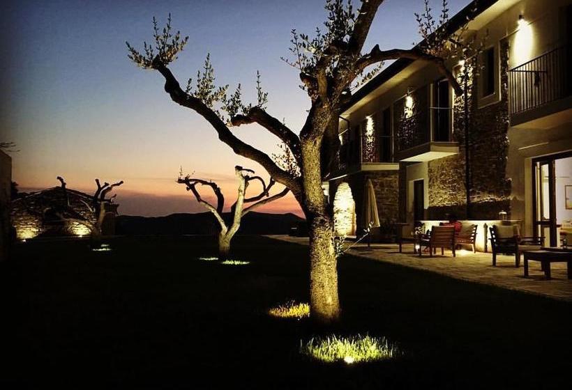 Bed and Breakfast Tenuta Nuvola  | Torchiara | Salerno | Italia 4