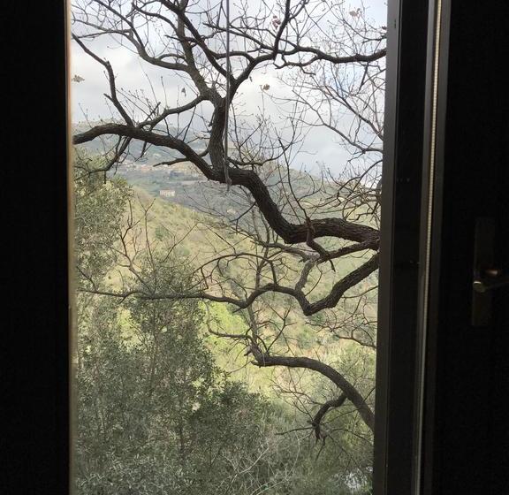 Bed and Breakfast Residenza Le Serre  | Acciaroli | Salerno | Italia 18