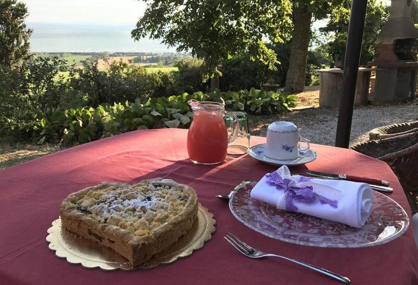 B&b Nonna Bon Bon  | Senigallia | Ancona | Italia 3