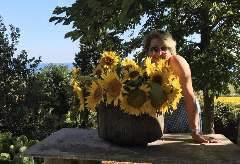 B&b Nonna Bon Bon  | Senigallia | Ancona | Italia 4