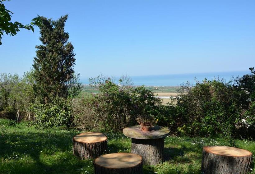 B&b Nonna Bon Bon  | Senigallia | Ancona | Italia 9