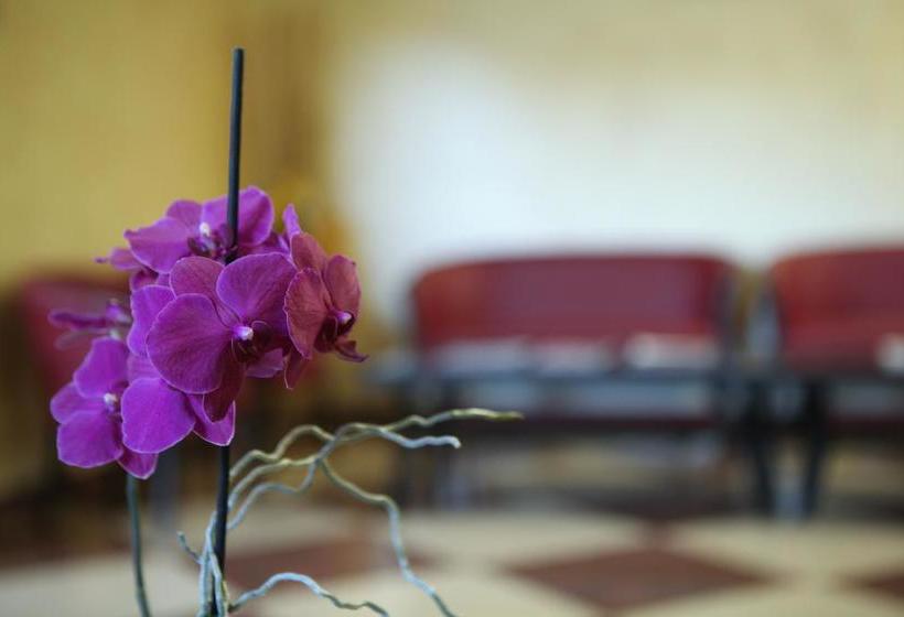 Hotel Ruffirio  | Vinchiaturo | Campobasso | Italia 11