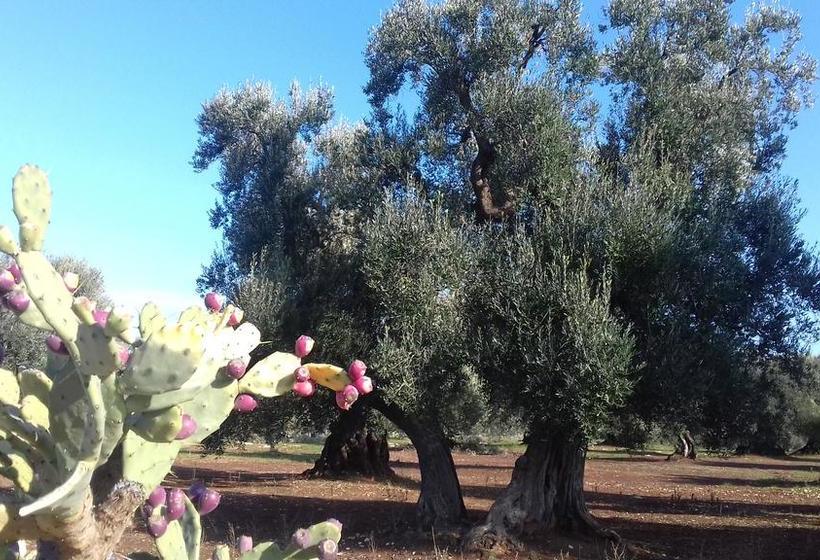 Bed and Breakfast Dal Signor Wolf  | Pezze di Greco | Brindisi | Italia 17