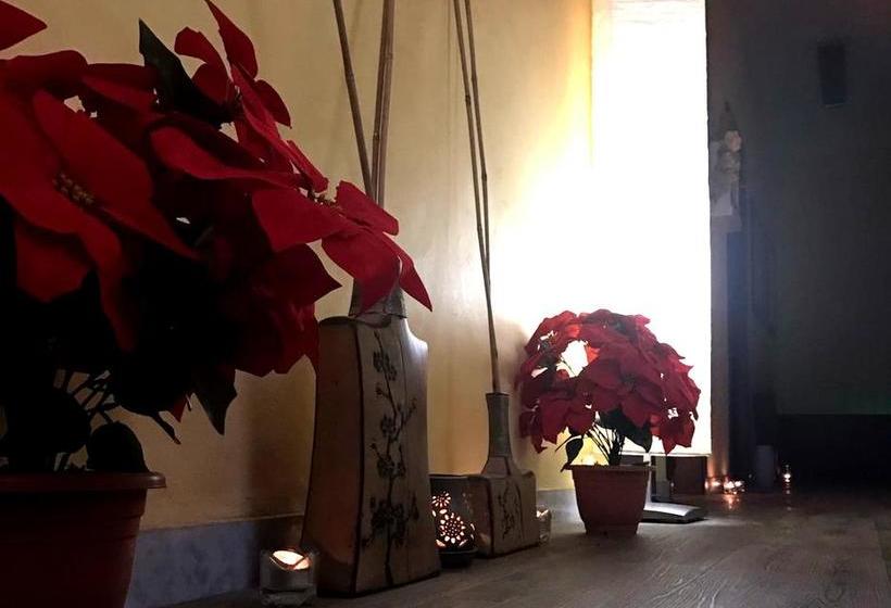 B&b Del Benessere Beauty & Welness  | Maglie | Lecce | Italia 14