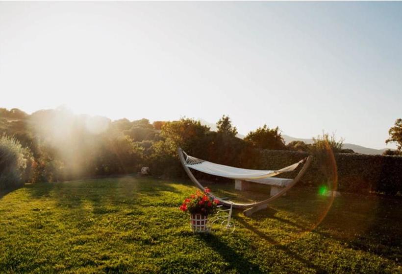 Cento Ulivi B&b  | Golfo Aranci | Sardegna | Italia 9