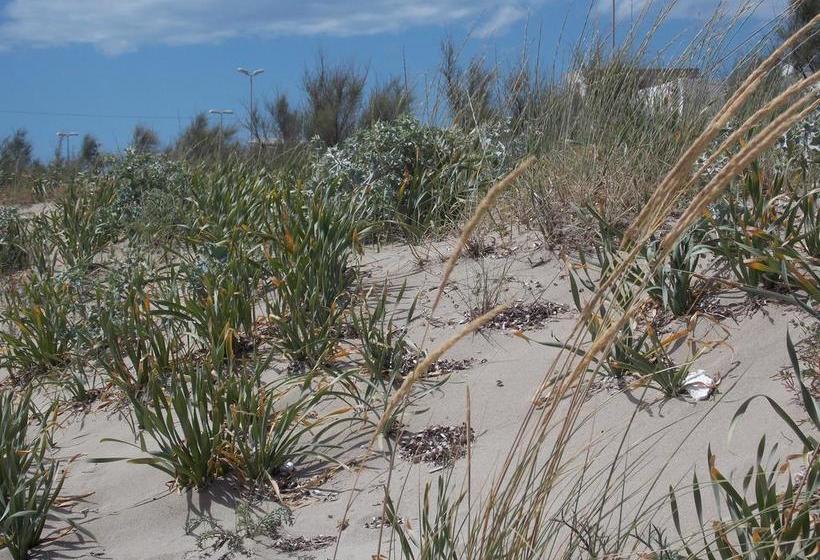 B&b Casa Da Mare  | Torre Mozza | Lecce | Italia 13