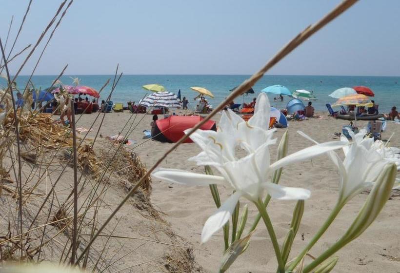 B&b Casa Da Mare  | Torre Mozza | Lecce | Italia 16