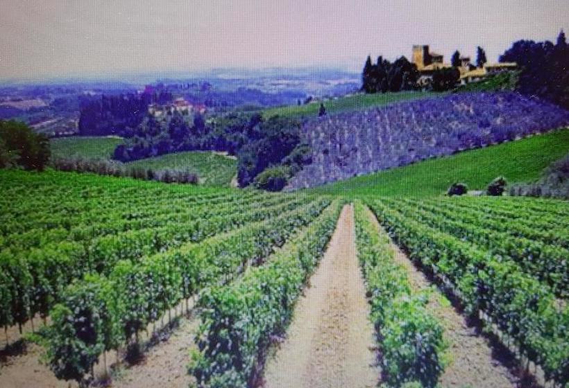 Bed and Breakfast Orto Degli Ulivi  | Sinalunga | Siena | Italia 10