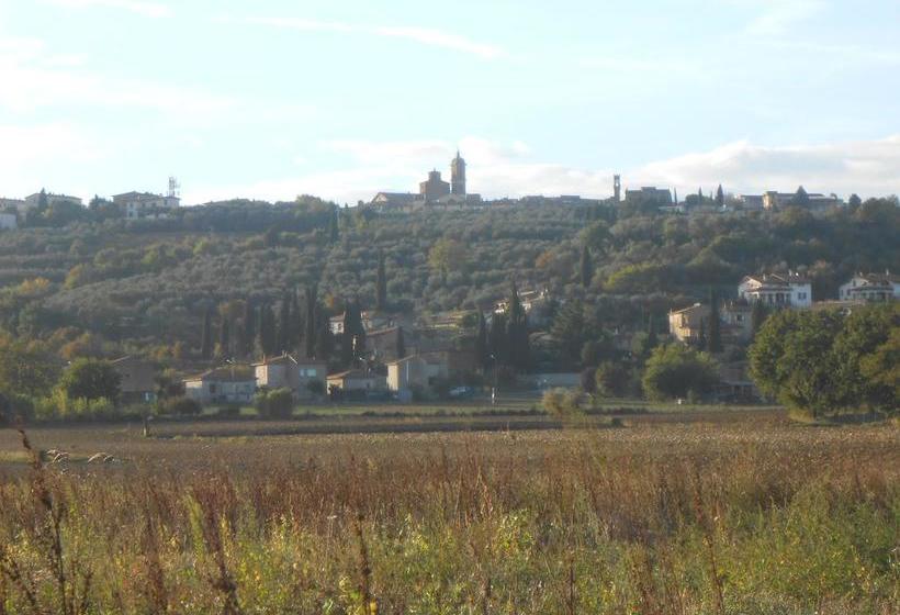 Bed and Breakfast Orto Degli Ulivi  | Sinalunga | Siena | Italia 14