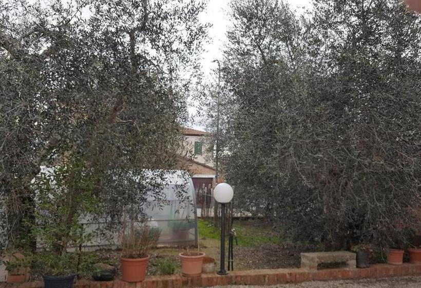 Bed and Breakfast Orto Degli Ulivi  | Sinalunga | Siena | Italia 15