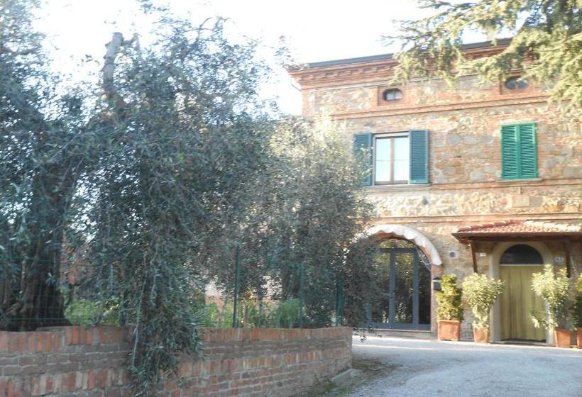 Bed and Breakfast Orto Degli Ulivi  | Sinalunga | Siena | Italia 2