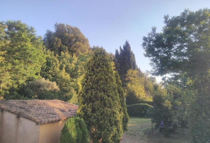 Bed And Breakfast Di Francia Vibo Valentia