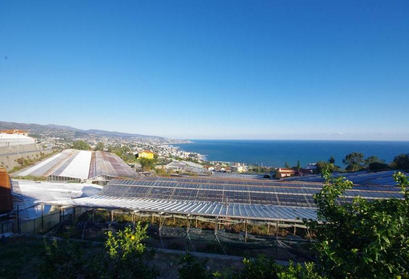 Bed and Breakfast La Casa Dello Scrittore  | Sanremo | Imperia | Italia 15