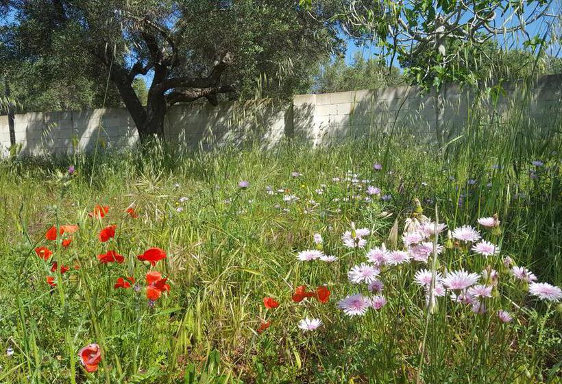 Bed and Breakfast The Proud Garden  | Carovigno | Brindisi | Italia 17