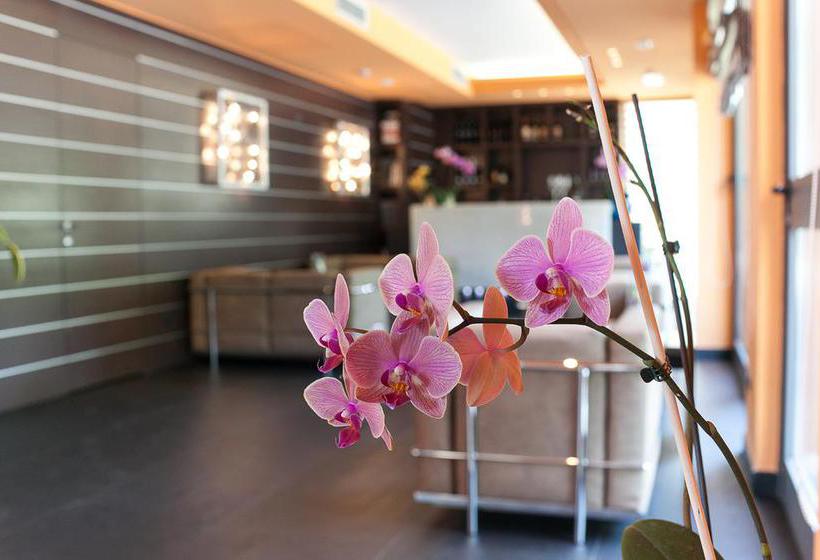 Hotel Aurora  | Sirmione | Brescia | Italia 16