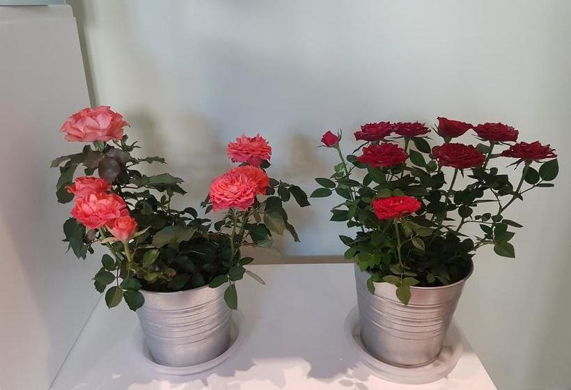 Bed and Breakfast Well.b