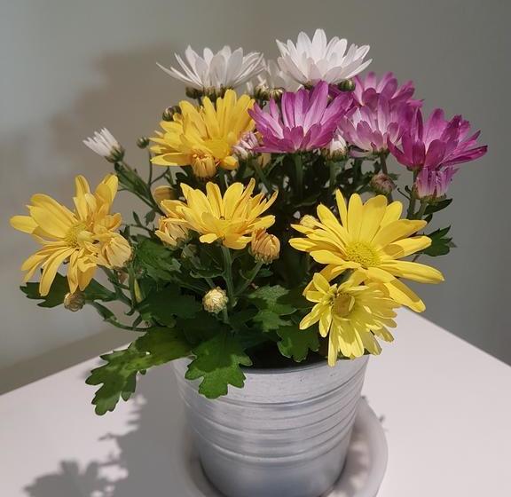 Bed and Breakfast Well.b  | Bologna | Bologna | Italia 18