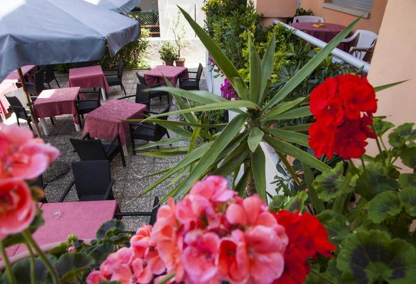 Hotel Blumen  | Pesaro | Pesaro e Urbino | Italia 5