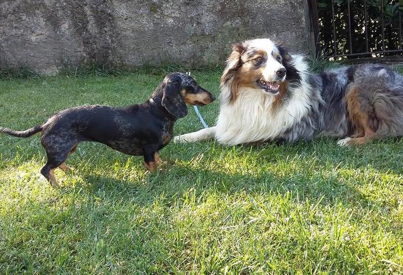 Bed and Breakfast Cascina San Martino  | Passirano | Brescia | Italie 5