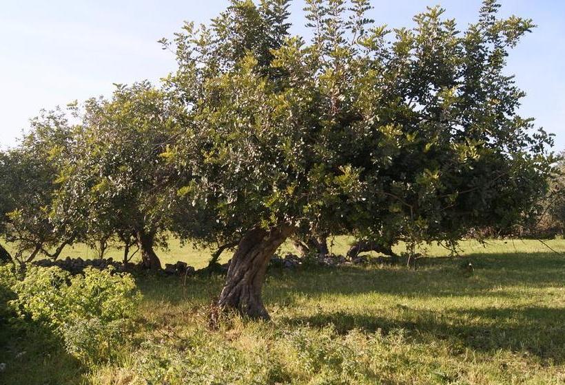 Mangiagesso B&b  | Modica | Ragusa | Italia 2