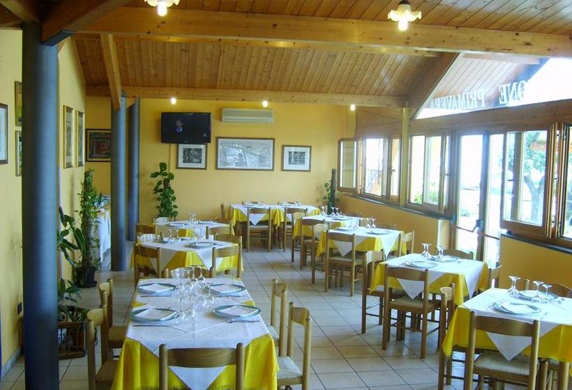 Hotel Albergo Primavera  | Senigallia | Ancona | Italia 10