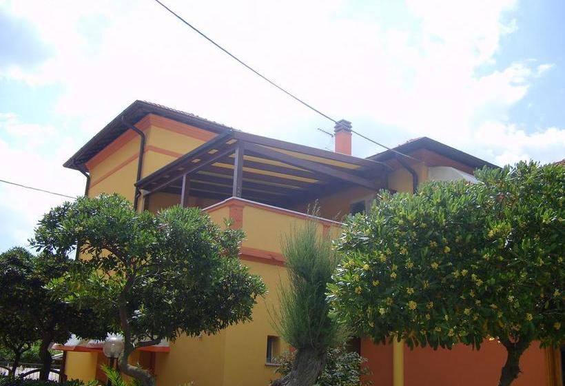 Hotel Albergo Primavera  | Senigallia | Ancona | Italia 5