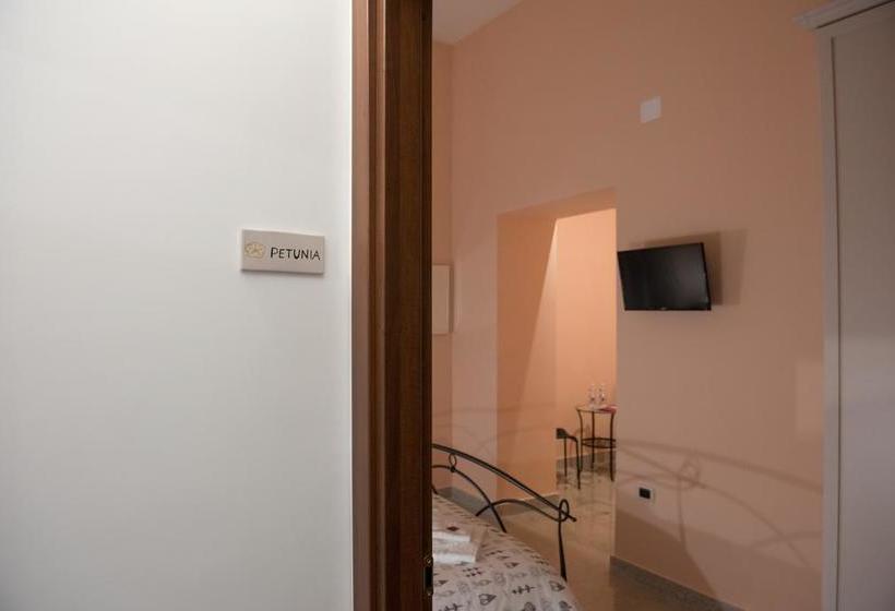 Bed and Breakfast Via Trento 30  | Salerno | Salerno | Italia 11