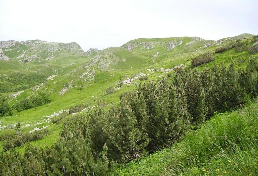 Hotel Albergo Sichi  | Cutigliano | Pistoia | Italia 12