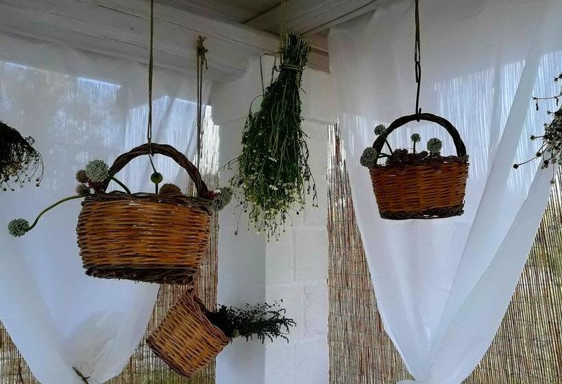 Bed & Breakfast Masseria Almadava  | Polignano a Mare | Bari | Italien 7