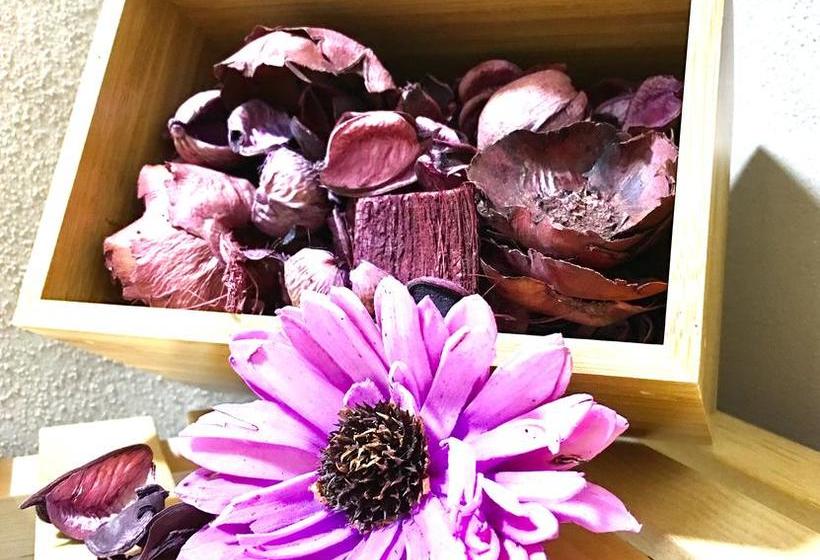 Bed and Breakfast Enclà  | Paestum | Salerno | Italia 13