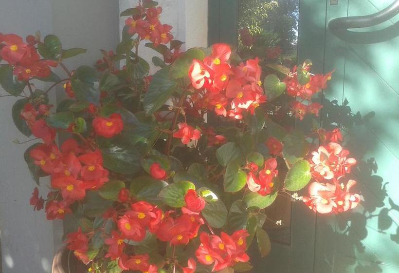 Bed & Breakfast Villa Fauzzi  | Noci | Bari | Italien 10