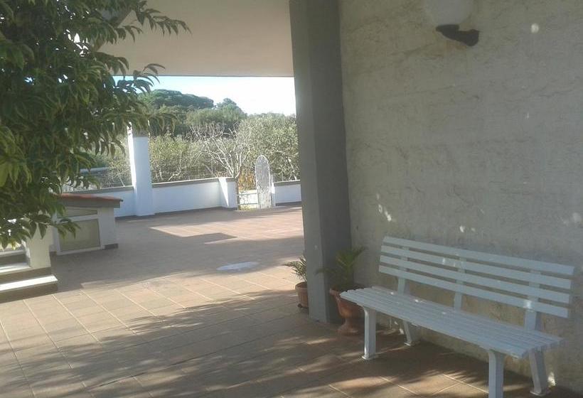 Bed & Breakfast Villa Fauzzi  | Noci | Bari | Italien 7