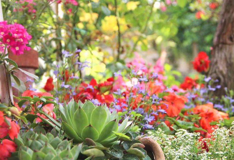 B&b Da Peppe  | Rotonda | Potenza | Italia 12