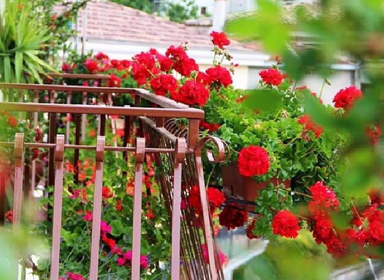 B&b Da Peppe  | Rotonda | Potenza | Italia 16