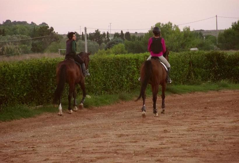Bed and Breakfast La Terrazza Sul Mare  | Otranto | Lecce | Italia 14