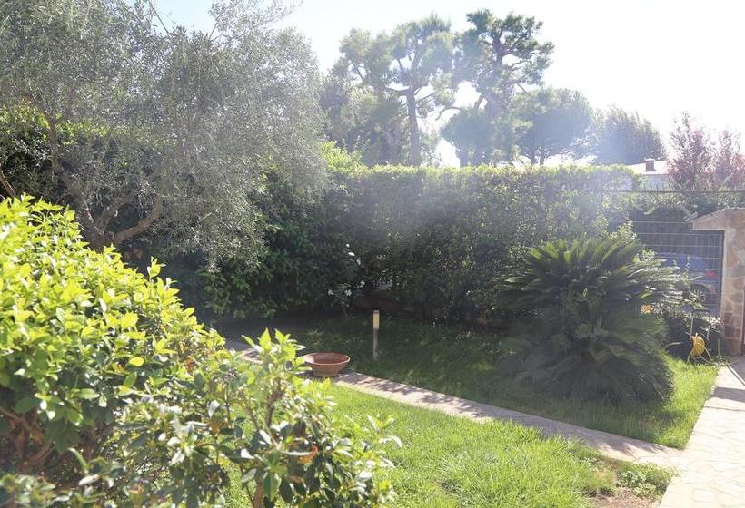 Bed and Breakfast Il Grandangolo  | Valenzano | Bari | Itália 16