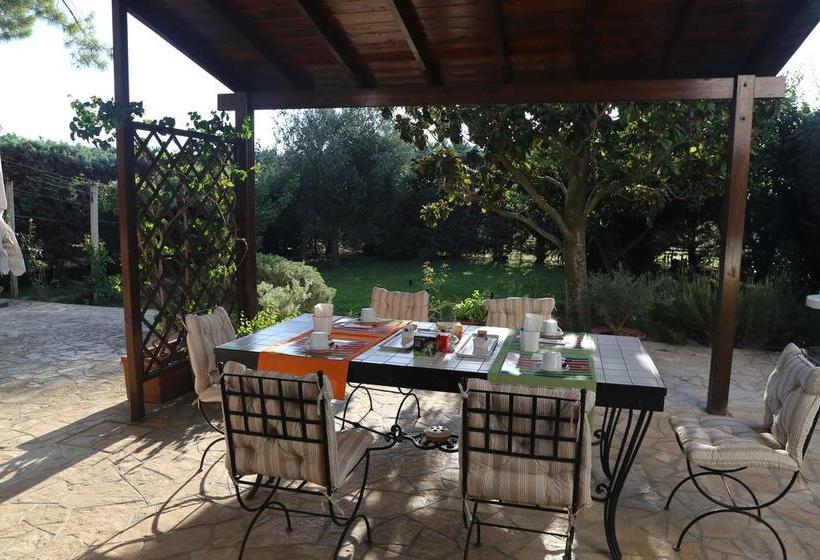 Bed and Breakfast Il Grandangolo  | Valenzano | Bari | Itália 19