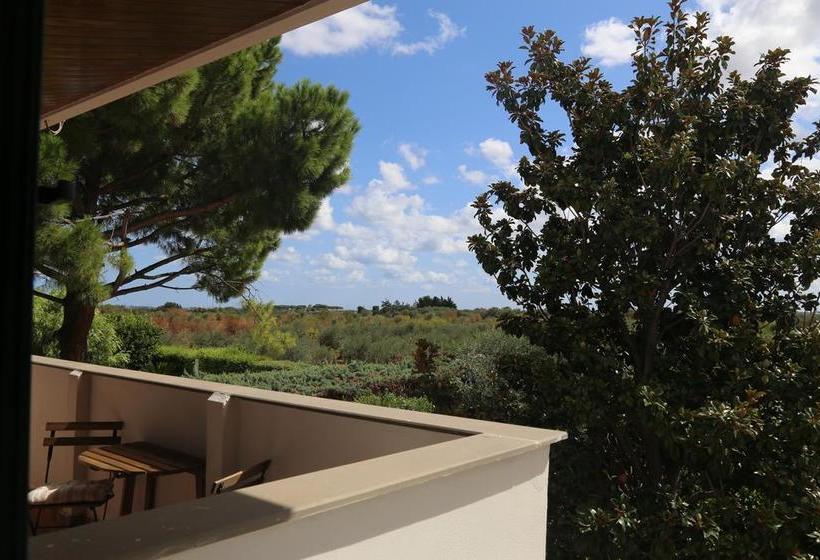 Bed and Breakfast Il Grandangolo  | Valenzano | Bari | Itália 20