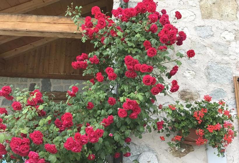 Hotel Kapriol  | Castello Tesino | Trento | Italy 12