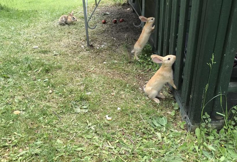 Hotel Kapriol  | Castello Tesino | Trento | Italy 15