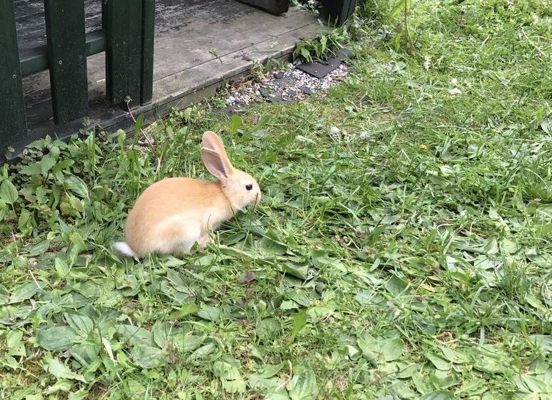 Hotel Kapriol  | Castello Tesino | Trento | Italy 16