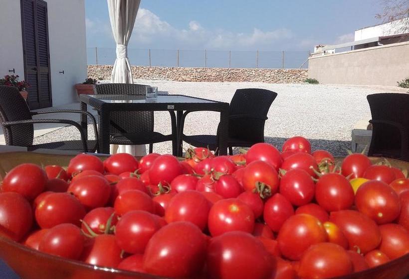 Bed and Breakfast Masseria Centro Colonico  | Marina di Ugento | Lecce | Italia 7