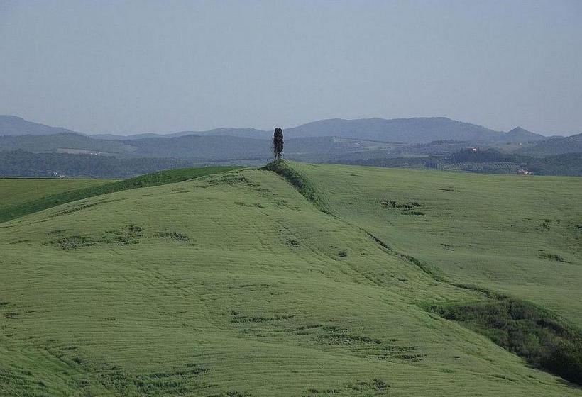 Bed and Breakfast Il Noce  | Asciano | Siena | Italia 13