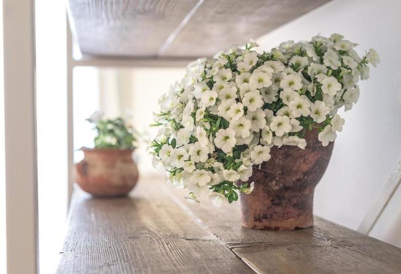 Bed and Breakfast Li Pappi Antico Casale  | Galatina | Lecce | Italia 10